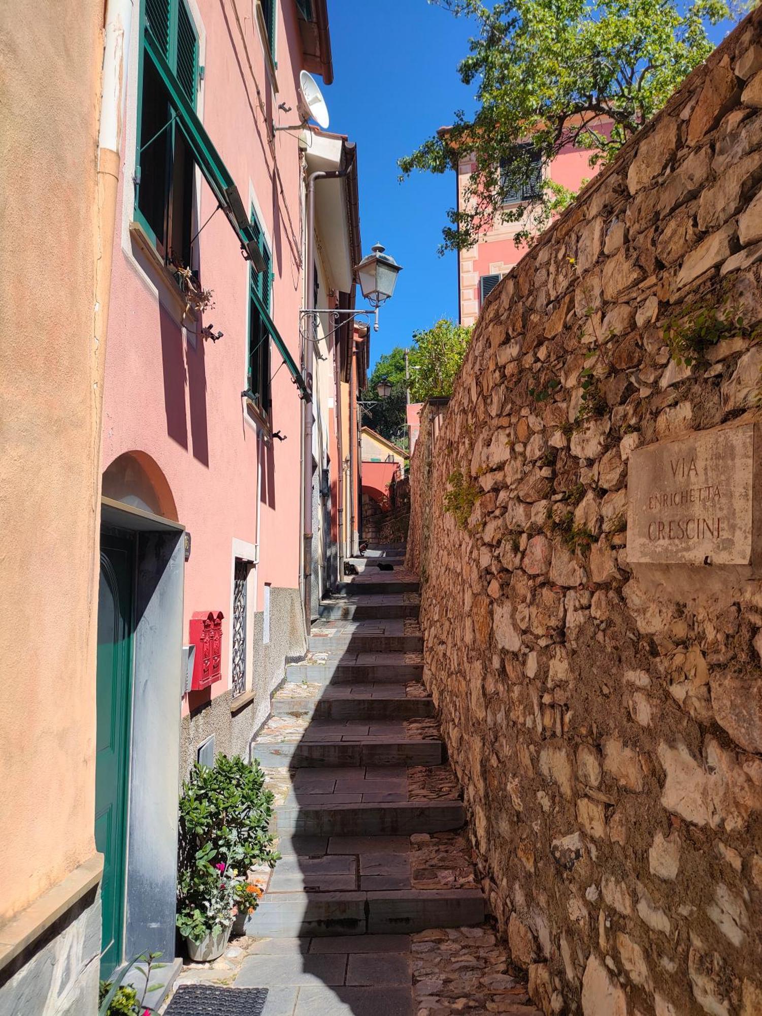 Camera Tra Le Cinque Terre, Camogli E Portofino. Vista Valle E Scorcio Mare All'Orizzonte Castiglione Chiavarese Ngoại thất bức ảnh