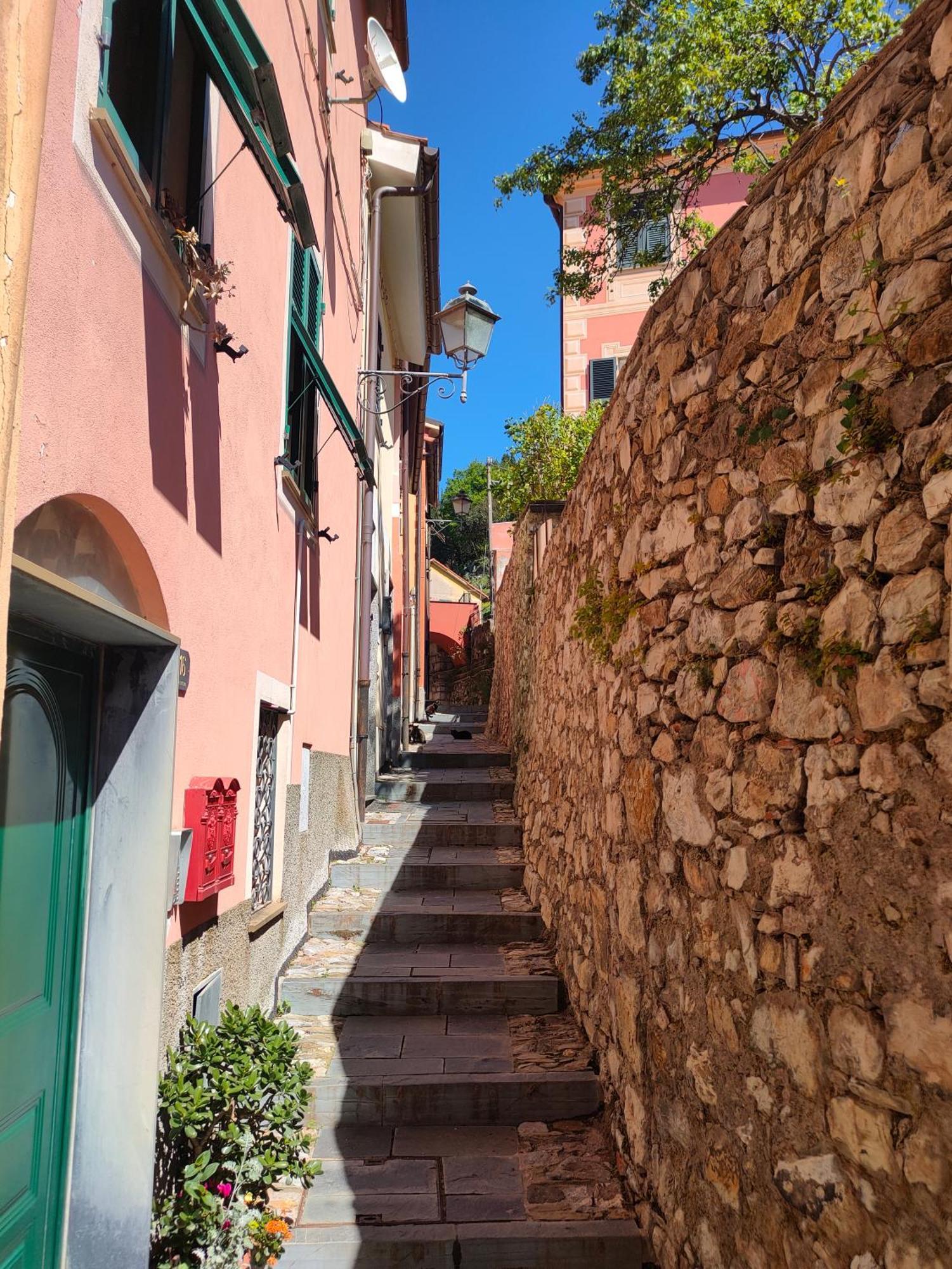 Camera Tra Le Cinque Terre, Camogli E Portofino. Vista Valle E Scorcio Mare All'Orizzonte Castiglione Chiavarese Ngoại thất bức ảnh